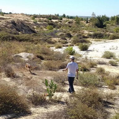 Entrenador con cuerda y perro mantrailing